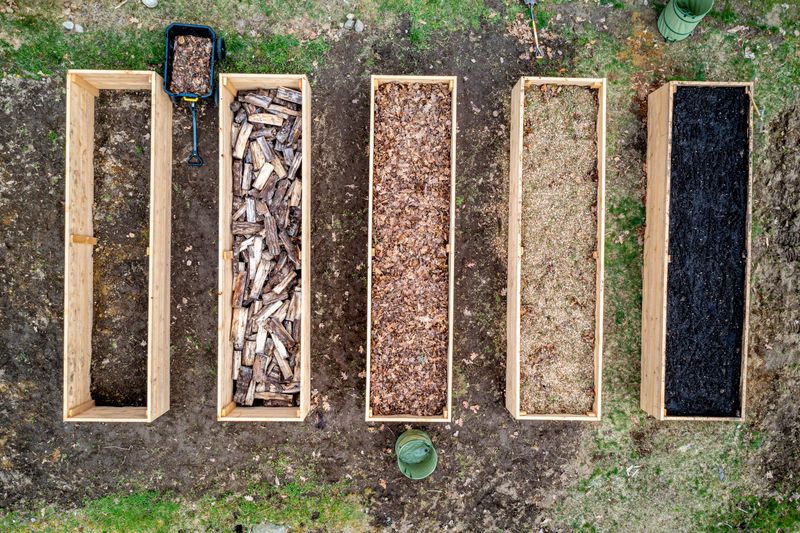 Seasonal vegetables growing in organic raised bed