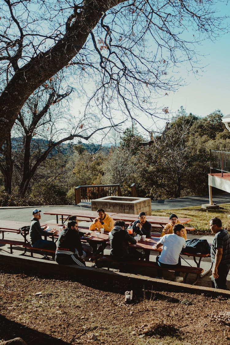 People Sitting On Bench Under Tree