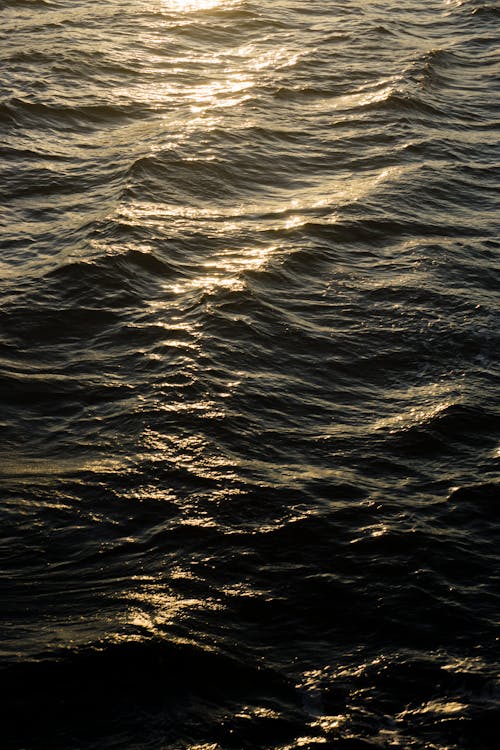 altın saat, dalgalar, deniz içeren Ücretsiz stok fotoğraf