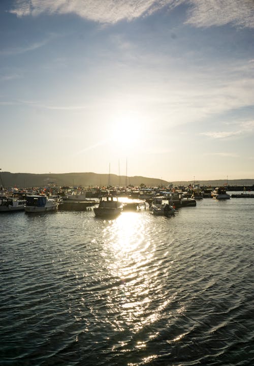 Free stock photo of boat, coast, fisherman