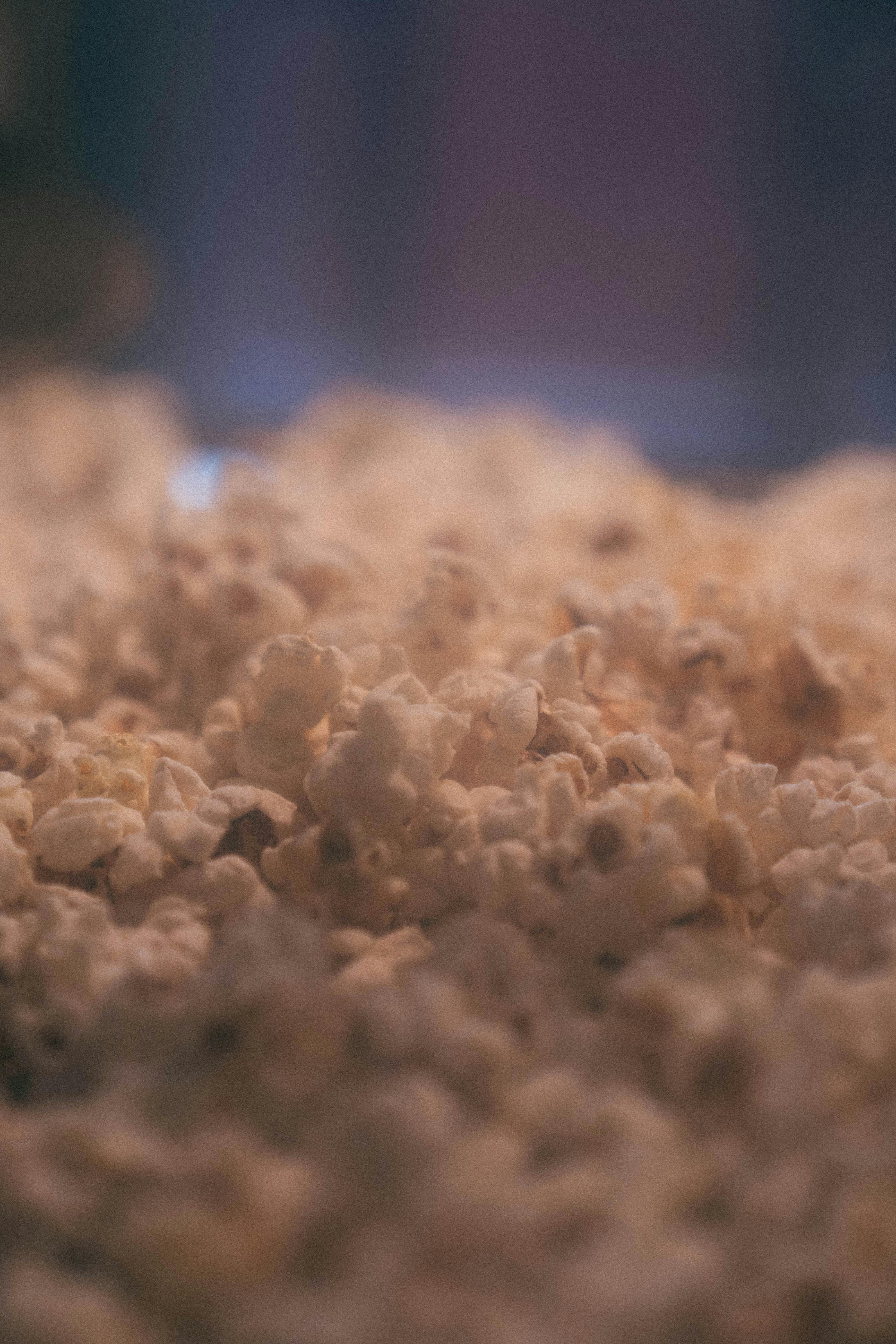 Free A detailed shot of freshly popped popcorn with a warm, inviting feel, perfect for food content. Stock Photo