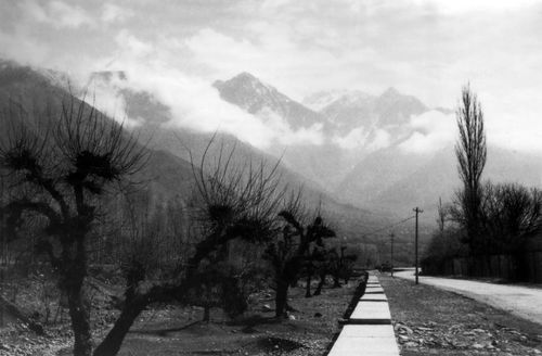 Free Black and white image of a misty mountain road and leafless trees in India. Stock Photo