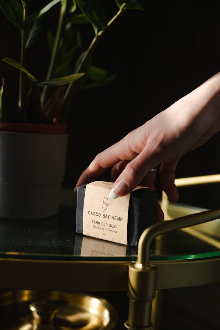 A Person Holding A Box Of Casco Bay Hemp