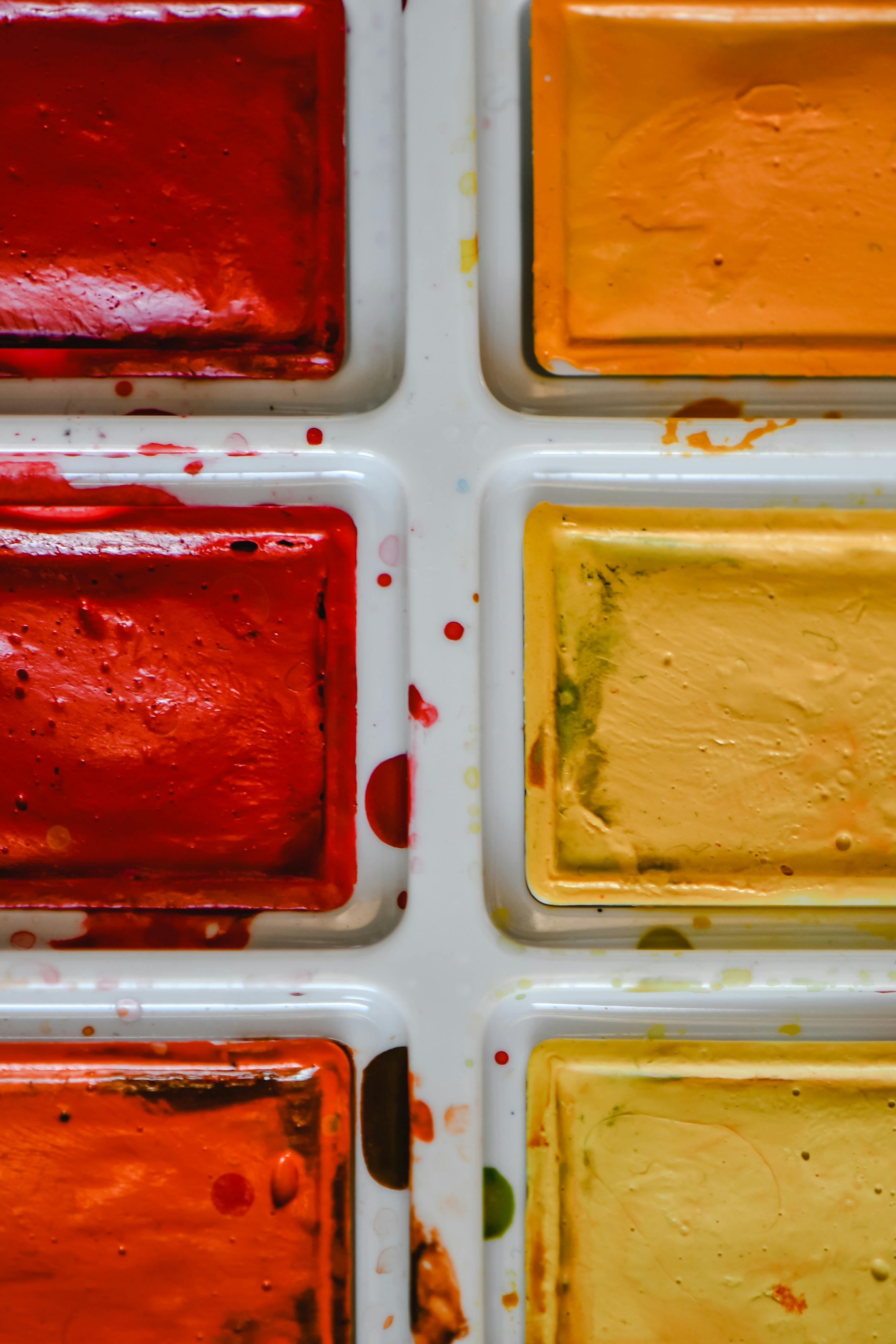 An Empty Water Color Pallet in Close-up Shot · Free Stock Photo