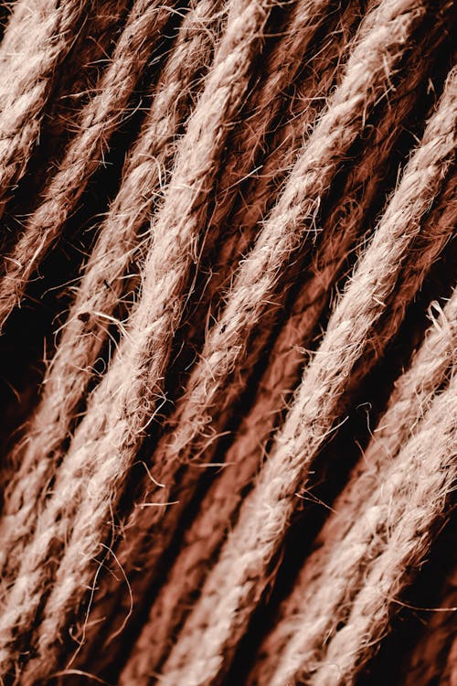 Brown Rope · Free Stock Photo