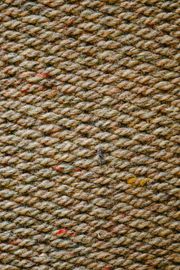 Close-up of speckled wool cloth, photo by Eva Bronzini on Pexels