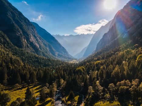 Picturesque view of green lush forest with coniferous trees and bushes growing on mountain slopes on sunny day