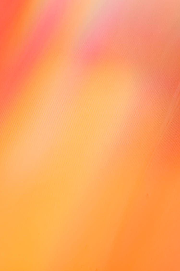 Bride Gradient Wallpaper