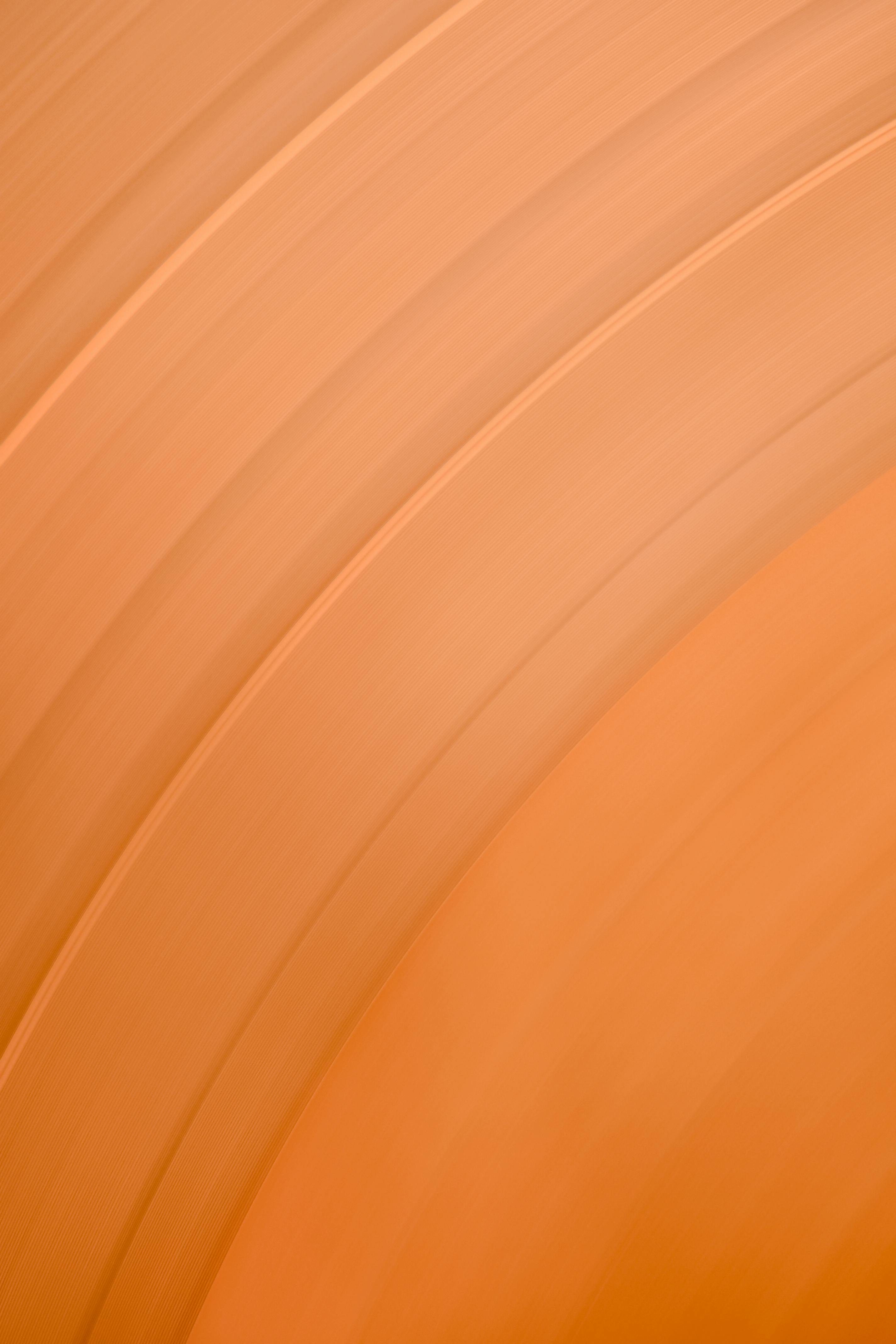 What does an orange survey marker mean?