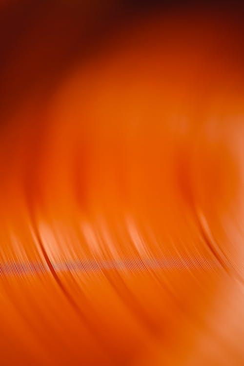 Spinning Orange Vinyl Record