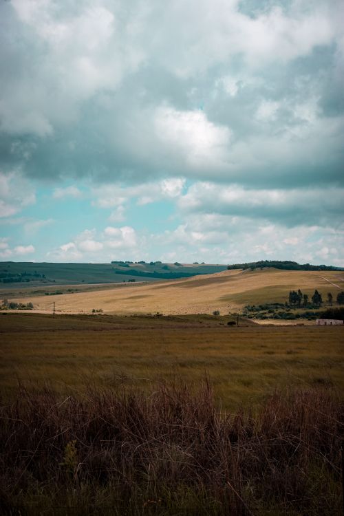 Free Explore the peaceful beauty of rolling grasslands beneath a dramatic overcast sky. Stock Photo