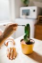 Free stock photo of adult, art school, arts