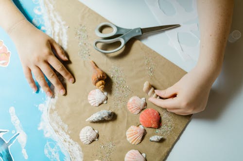 Hands of a Person Holding Seashells on a Brown Paper