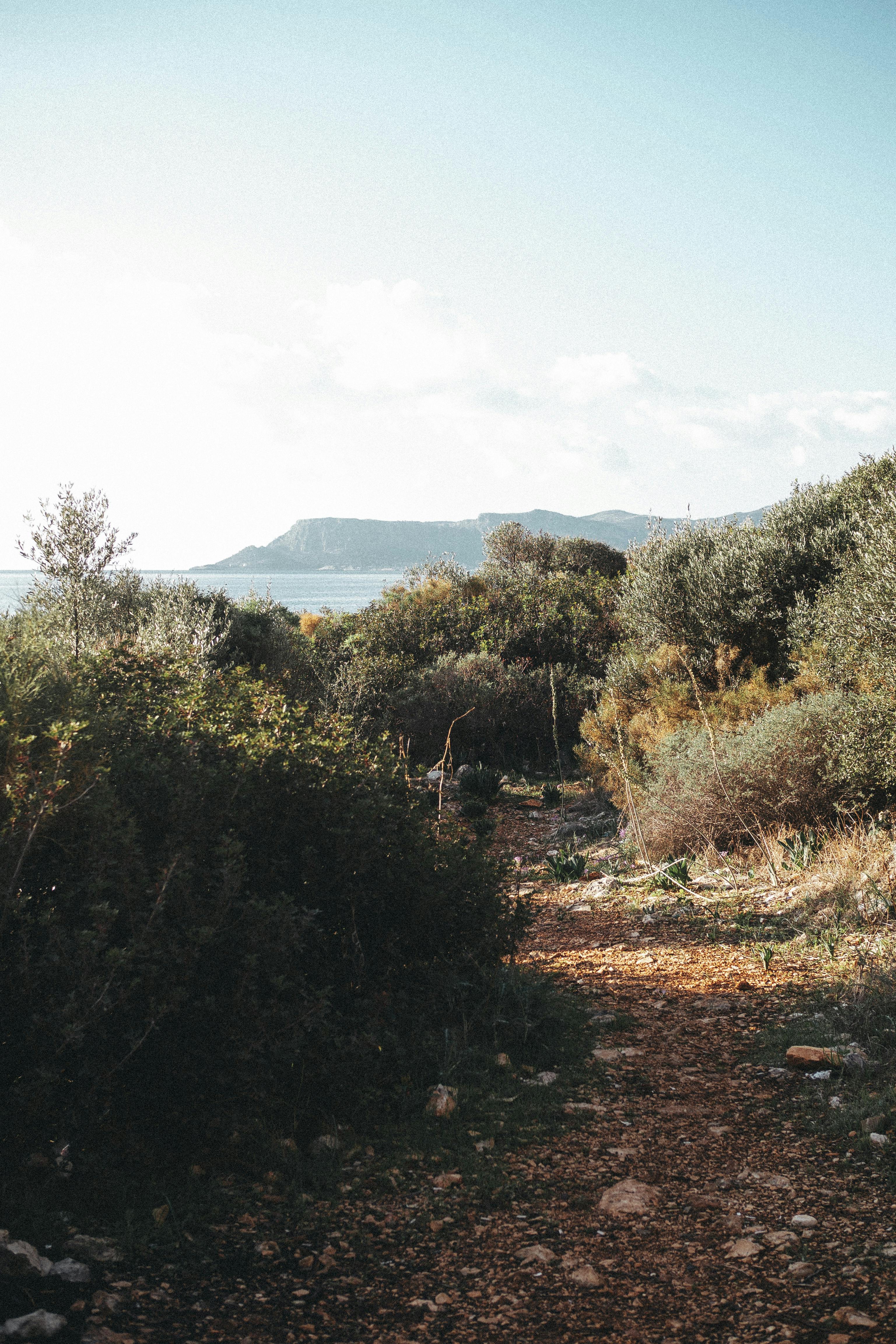 9,000+张最精彩的“Missdawson+nude1&lq=0&pq=william Byrd Pavana E Gagliarda