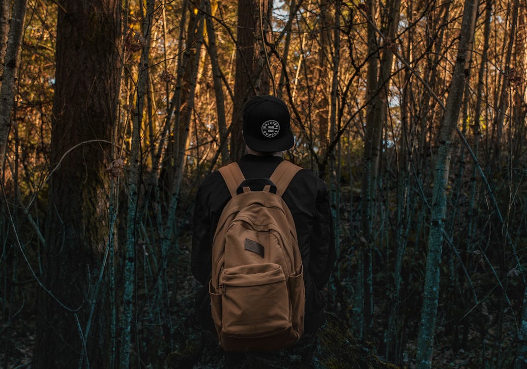 Foto Van Een Persoon In Het Bos