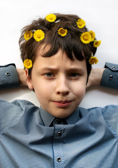 Free Little boy with yellow blossoms of calendula in dark hair looking at camera with hands on head on white background Stock Photo