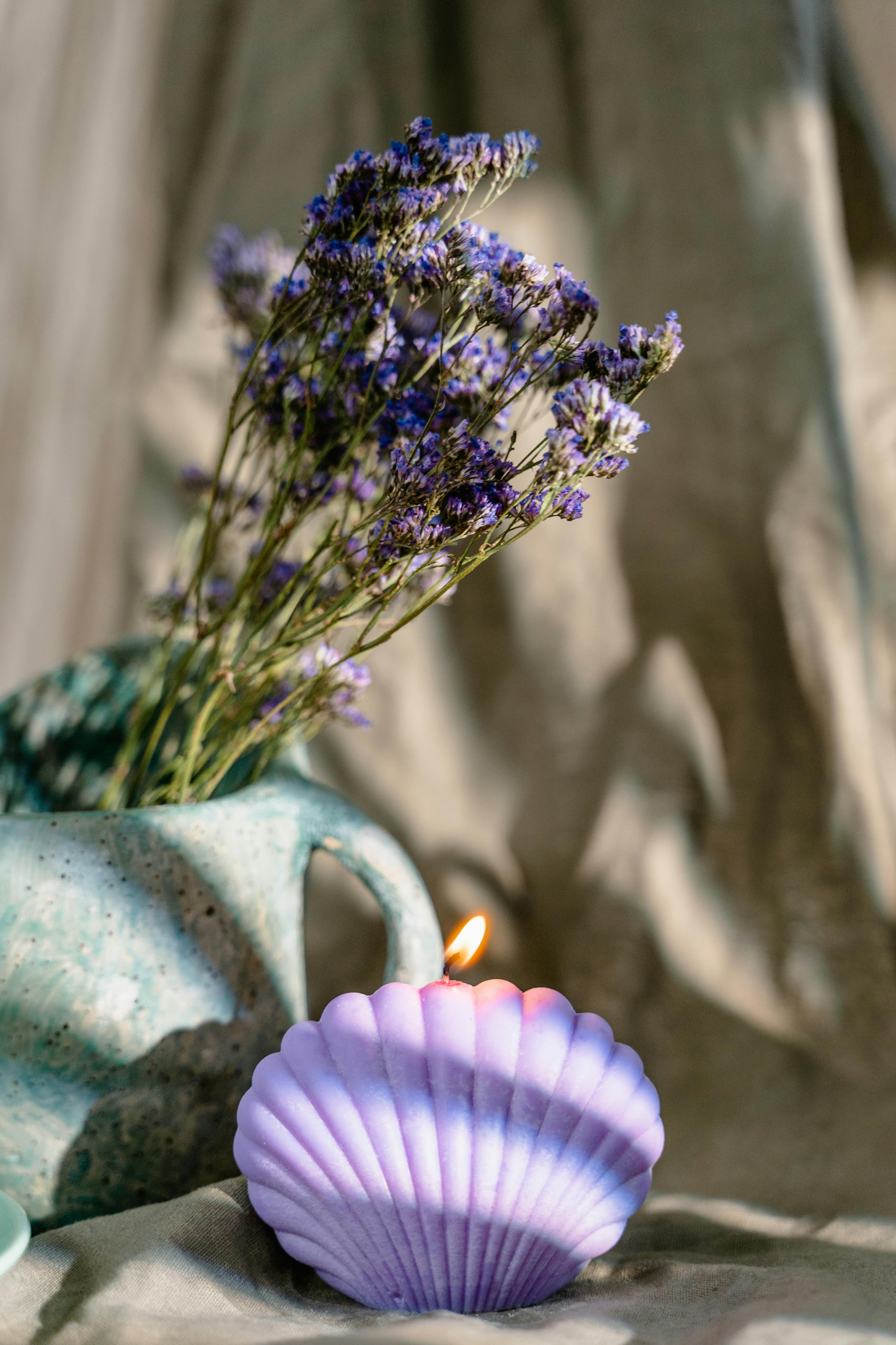 purple flower in white ceramic vase