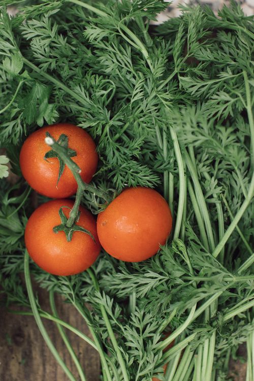 Free Top view of ripe red tomatoes laid out with green leaves, showcasing freshness and natural beauty. Stock Photo
