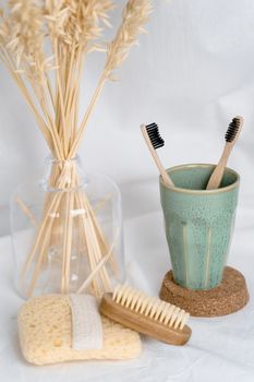 Aesthetic arrangement of natural brushes and bamboo toothbrushes for sustainable hygiene.