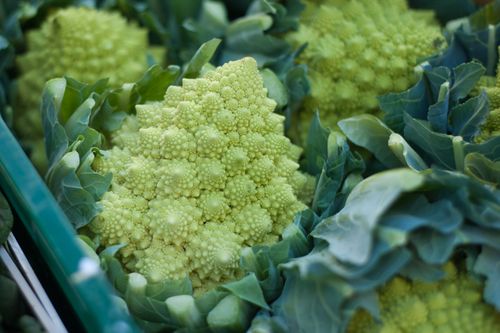 Free Captivating close-up of fresh Romanesco broccoli with vibrant green leaves captured at a market stall. Stock Photo