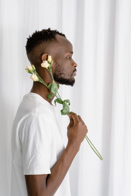 Free Side view of a bearded man holding roses against a white background, exuding a calm mood. Stock Photo