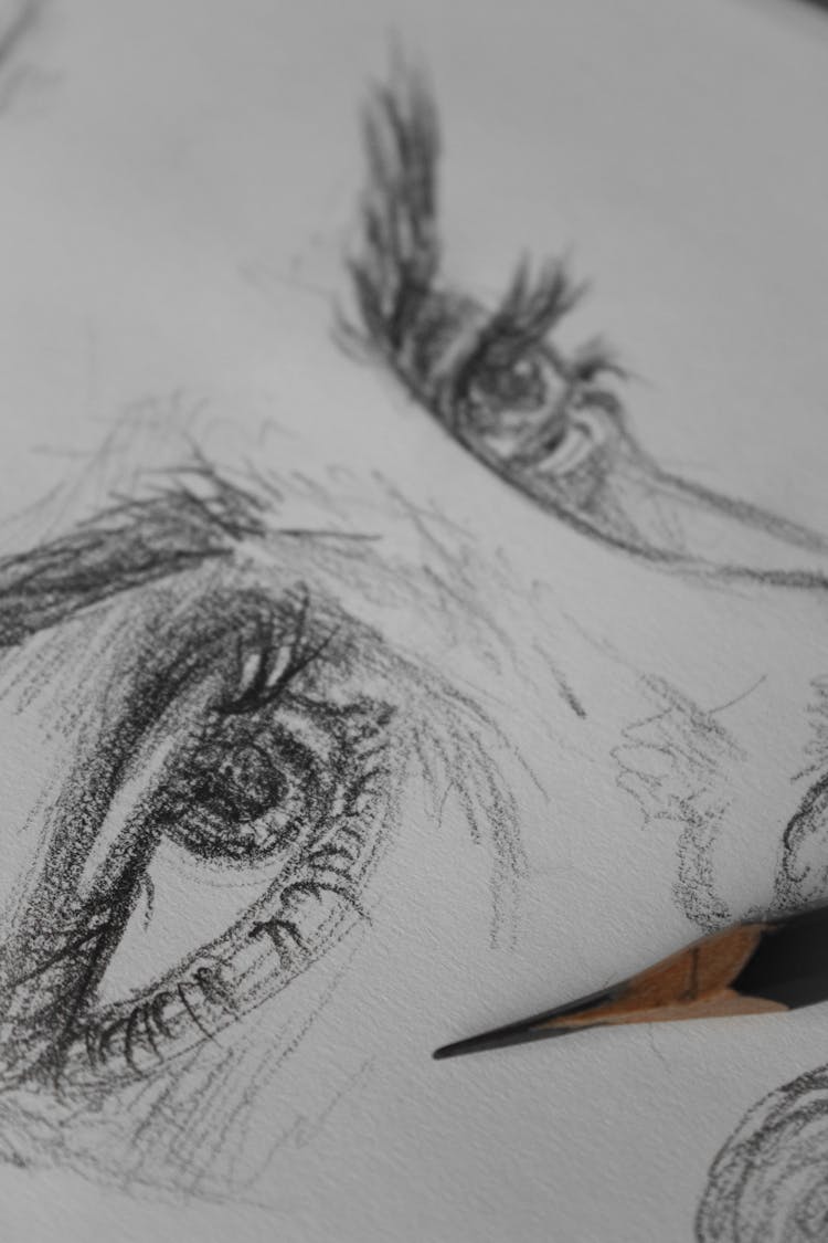 Black And White Human Eye Sketch