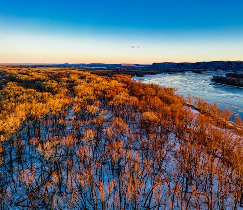 
An Aerial Shot of a Forest beside a River during Winter