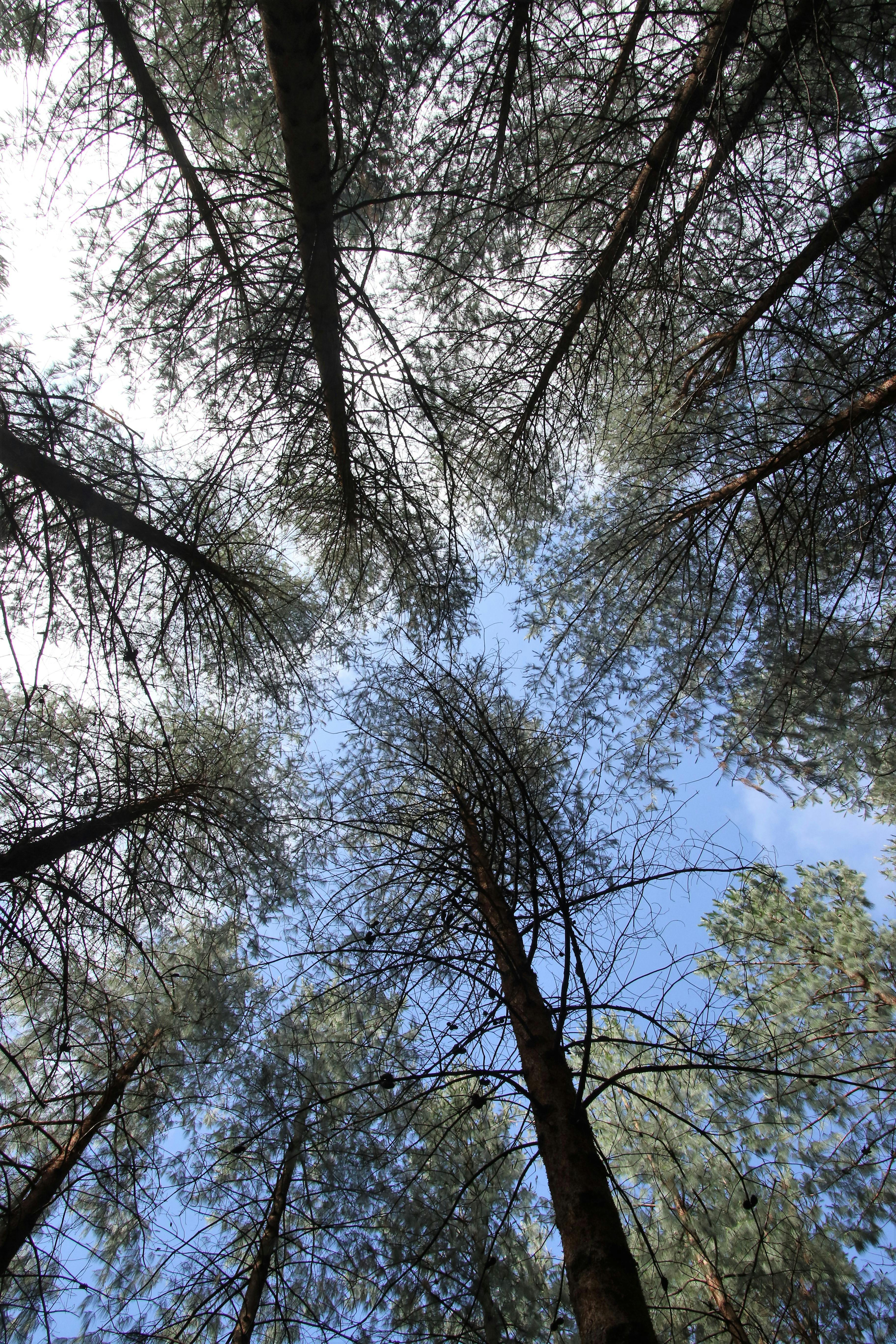 PCOS Diyeti: Polikistik Over Sendromu Belirtilerini Hafifleten Beslenme Rehberi