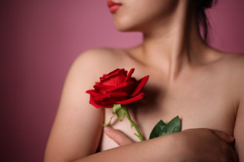 Free Crop anonymous female hiding naked breast with rose in blossom on pink background of studio Stock Photo