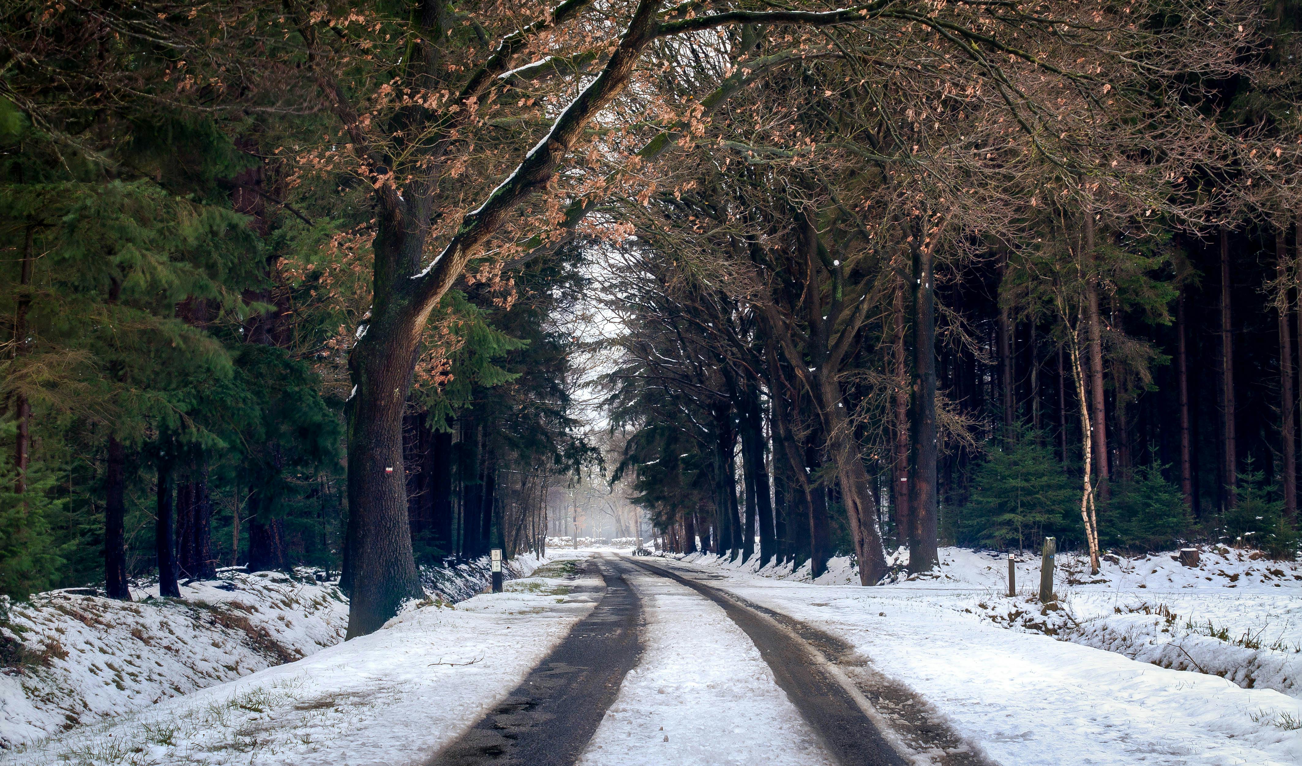 photography of road during winter season