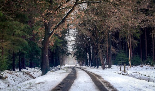 Fotografie Van Weg Tijdens Winterseizoen