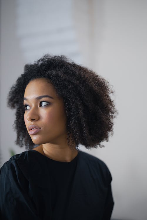 Kostnadsfri bild av afrikansk amerikan kvinna, afro hår, inomhus
