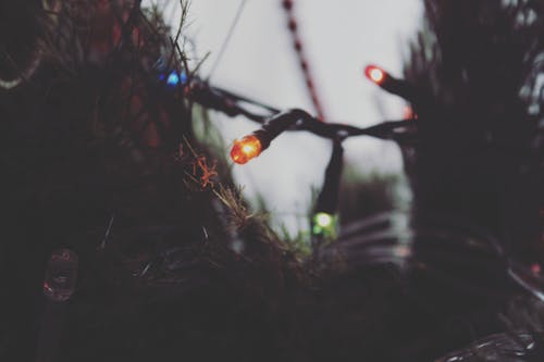 免費 聖誕燈的特寫攝影 圖庫相片
