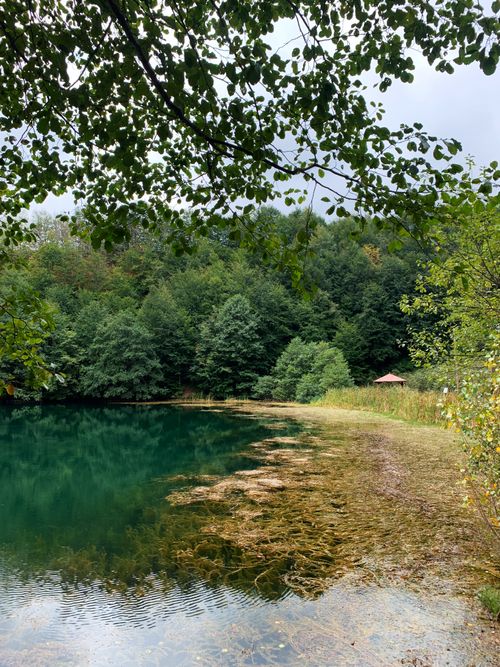 Free Peaceful forest lake with stunning water reflection and vibrant greenery in Türkiye. Stock Photo