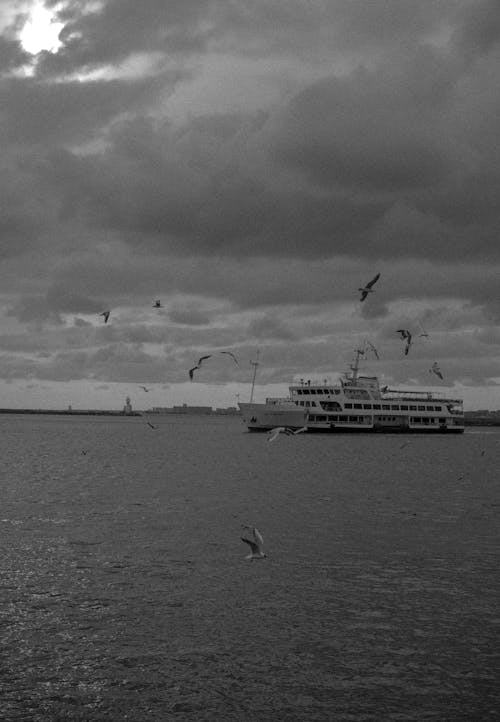Základová fotografie zdarma na téma černobílý, člun, dopravní systém