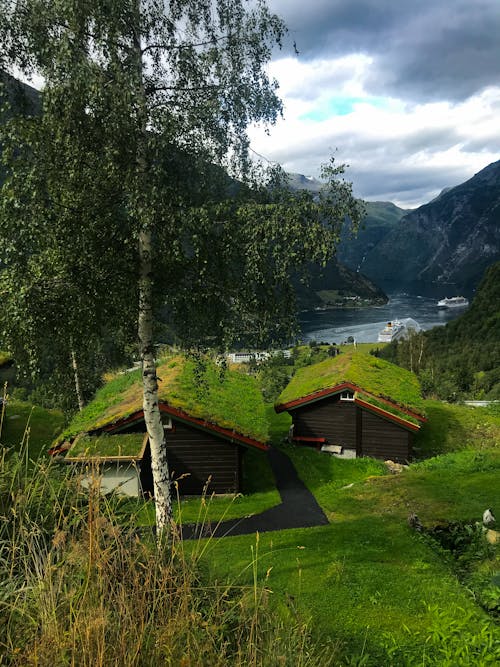 Houses with Grass on Roofs in Mountains 