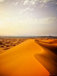 Golden sand dunes at low sun. Photo by abdelhakim jemhoun on Pexels