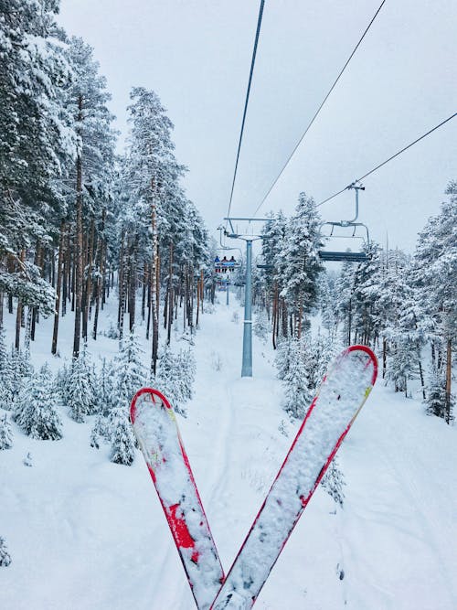 Red Skis on Snow Covered Ground