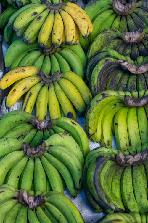 Free Bunches of fresh green and yellow bananas at a market, showcasing healthy tropical produce. Stock Photo