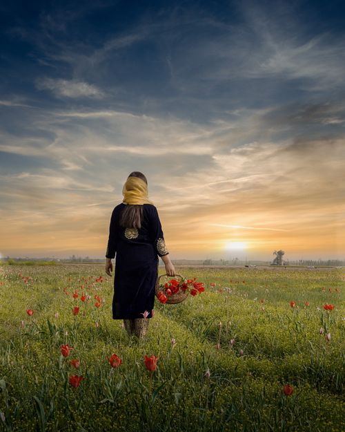 Free A woman stands in a flower-filled field holding a basket at sunset, creating a serene rural scene. Stock Photo