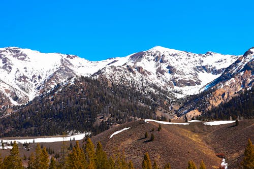 Ingyenes stockfotó festői, hideg, hóval borított hegy témában