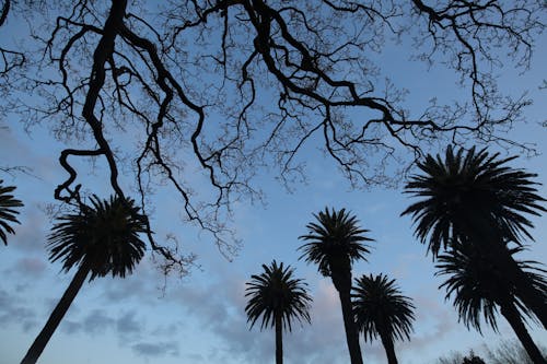 Free stock photo of new zealand