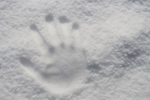 雪地中清晰的手印，展现出冬日的宁静氛围