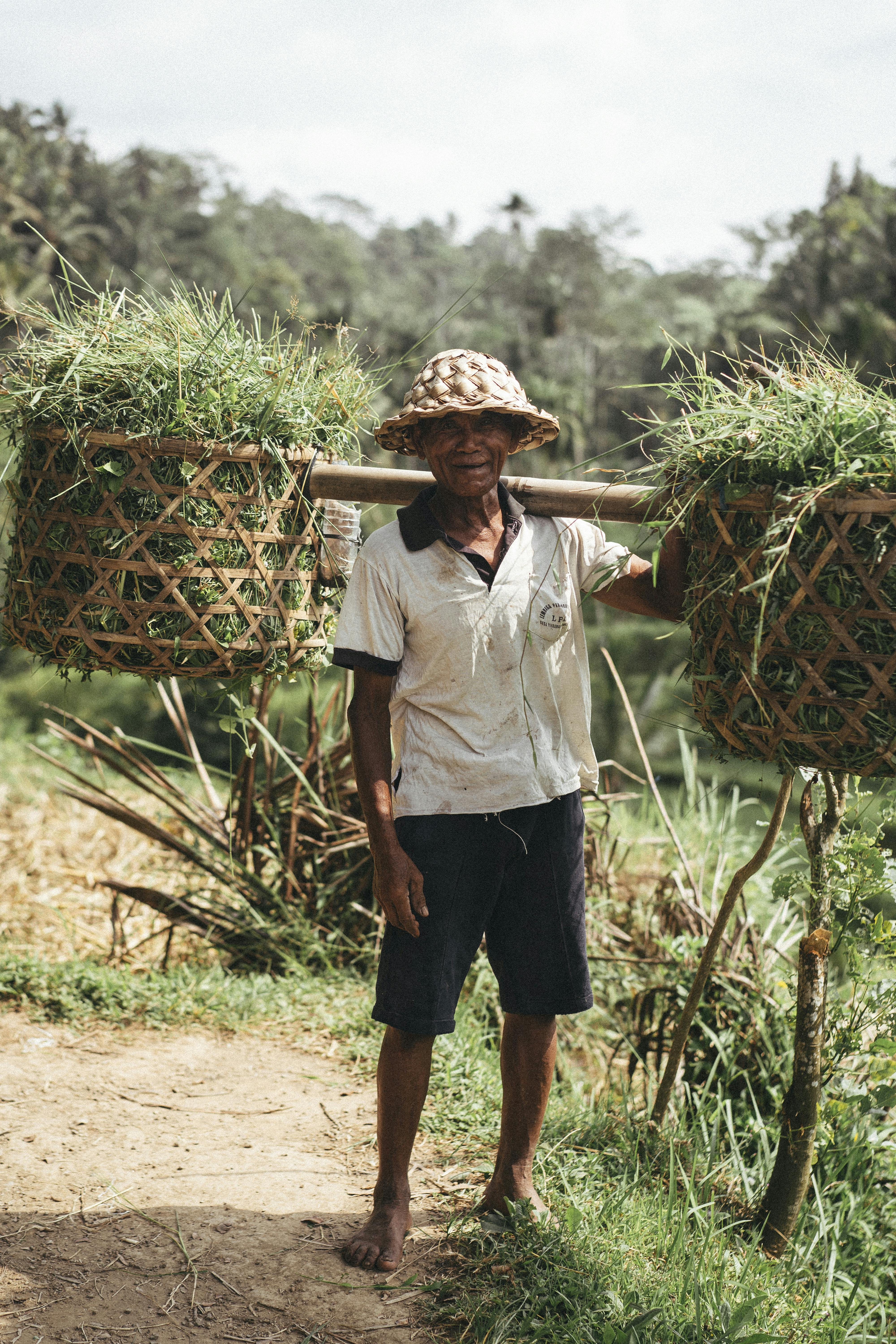 A Man Carrying Woven Basket with Grass · Free Stock Photo