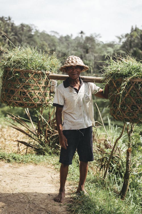  A Man Carrying Woven Basket with Grass