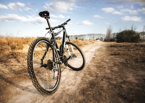 Explore the thrill of off-road biking with this mountain bike on a rugged dirt path.