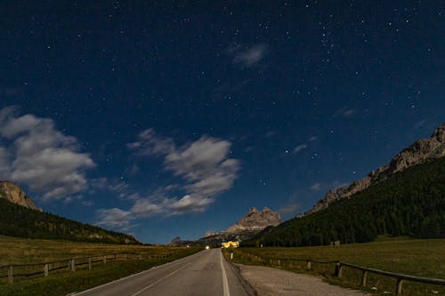 Foto d'estoc gratuïta de a l'aire lliure, asfalt, bosc