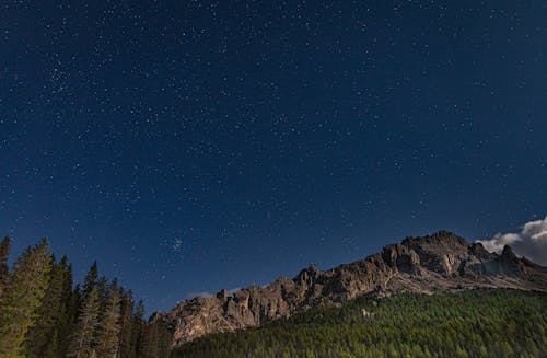 Rocky mountains and forest under stars on sky