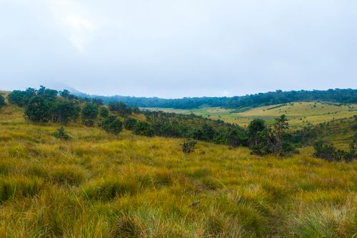 Free Lush green fields and rolling hills under a cloudy sky, perfect for nature enthusiasts. Stock Photo