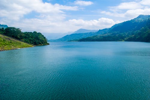 Cuerpo De Agua Rodeado De Tres árboles